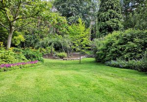 Optimiser l'expérience du jardin à Montastruc-de-Salies